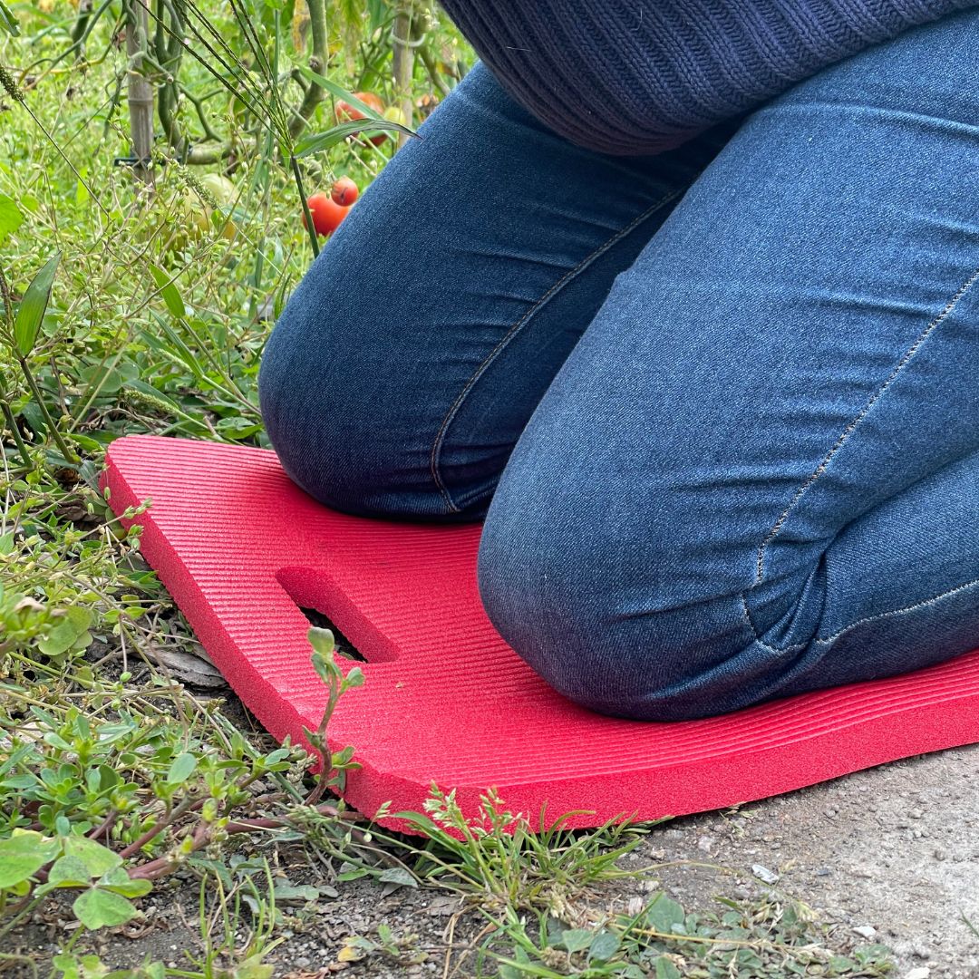 Coussin Airex Multi-usage 🇨🇭